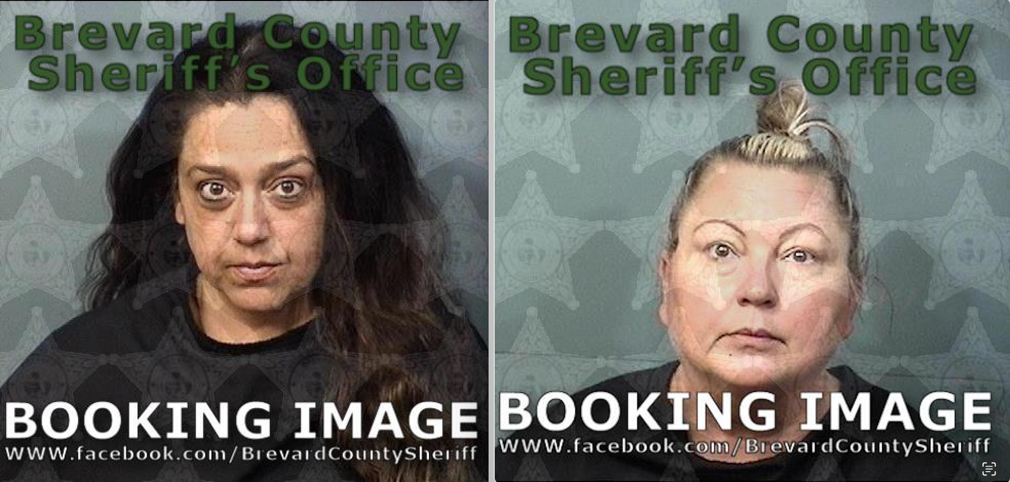 Elizabeth Hill-Brodigan (lijevo) i Karly Anderson (desno), obojica odgajatelji u osnovnoj školi Roosevelt u plaži Cocoa na Floridi, uhićeni su nakon kućne zabave u Hill-Brodiganu, gdje je 100 učenika navodno pije i koristio marihuanu, rekla je policija policija